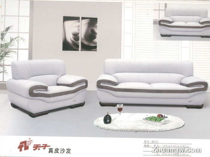 天子沙发家具图片(九) 匠心工艺，尽显客厅典雅风范